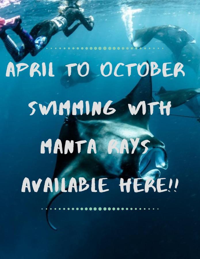 White Sandy Beach-Best Manta Snorkeling Tethi Exterior photo